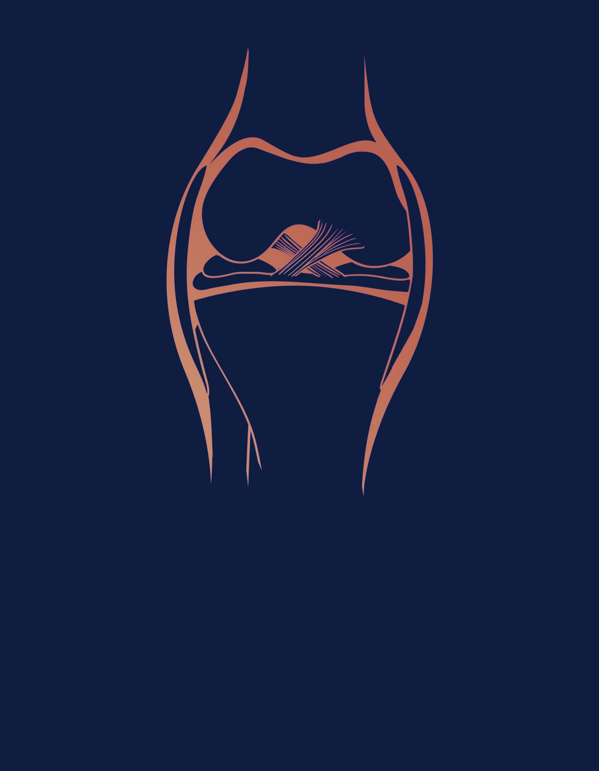 icon for ACL services Dr Tomislav Cerovecki