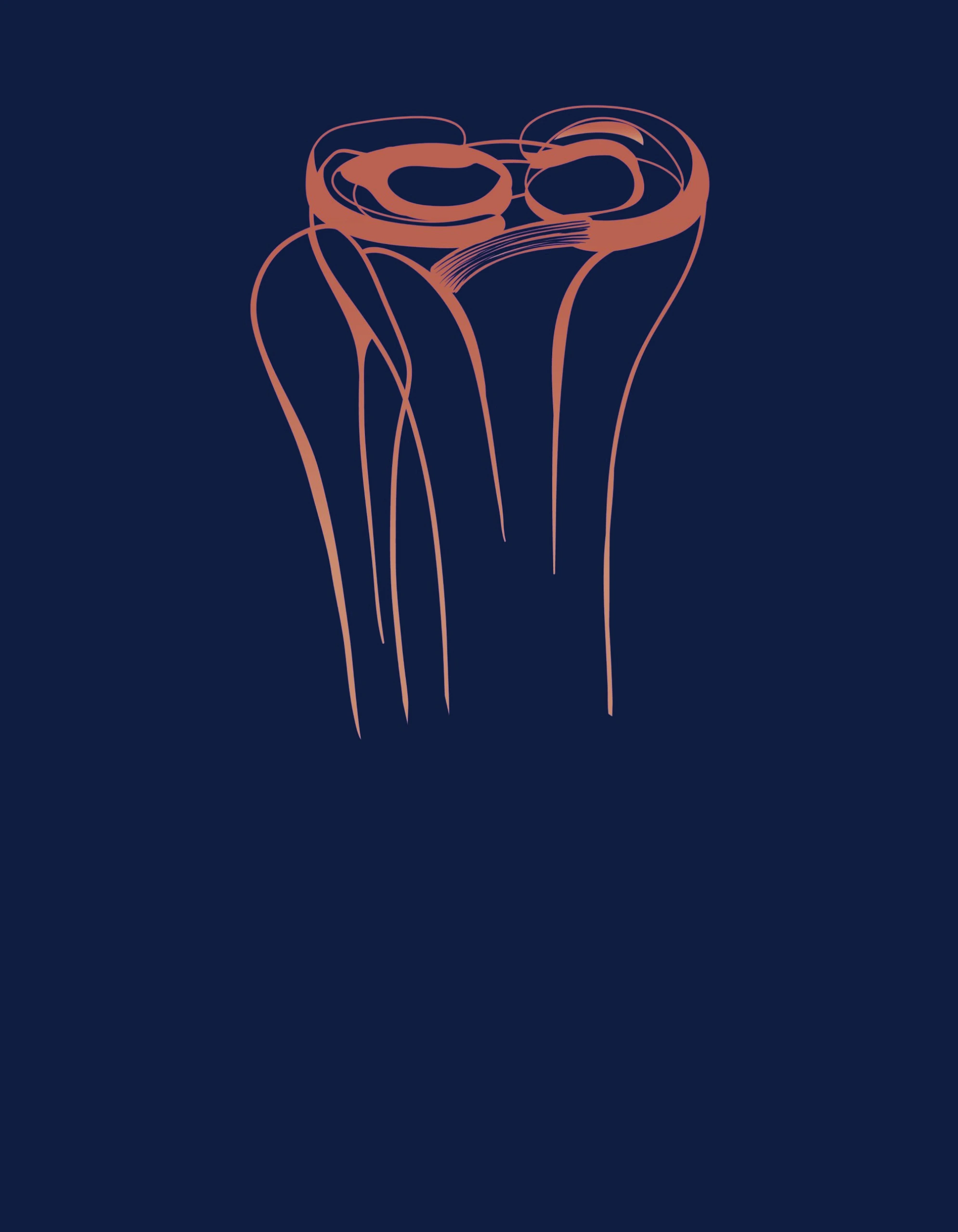 Meniscus services Dr Tomislav Cerovecki